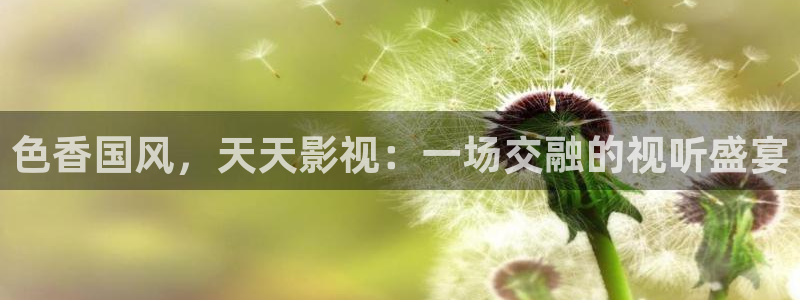 歐美理論視頻在線觀看：色香國風，天天影視：一場交融的視聽盛宴