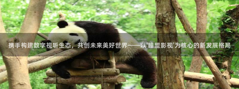 理論在線電影觀看：攜手構建數字視聽生態，共創未來美好世界——以\'瞳盟影視\'為核心的新發展格局