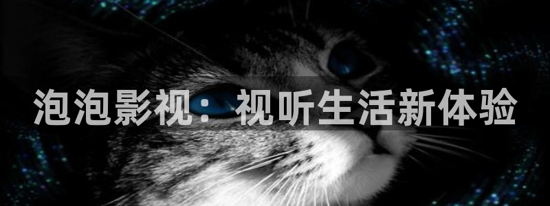 電影敘事學理論和實例：泡泡影視：視聽生活新體驗