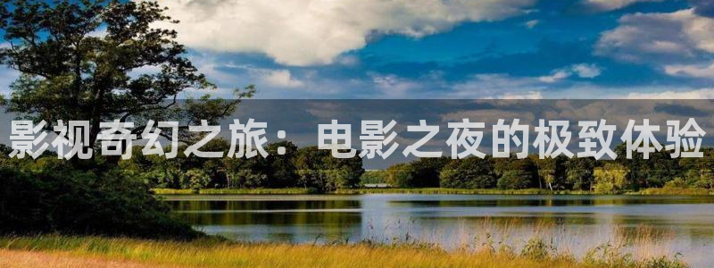 理論電影 韓國