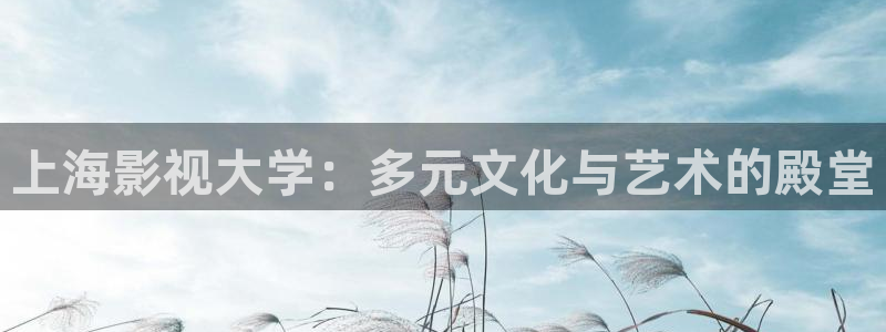 電影歐美理論：上海影視大學：多元文化與藝術的殿堂
